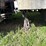 2019-peterbilt-520-image-6