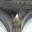 2018-stoughton-van-image-15