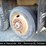 2002-caterpillar-c15-image-40