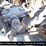 2002-caterpillar-c15-image-12