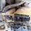2019-caterpillar-259d-image-54