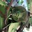 john-deere-9750-sts-image-24