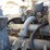 1988-ford-f800-image-24
