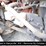 2016-international-prostar-image-6