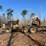 2011-tigercat-635d-image-49