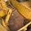 caterpillar-12-image-36