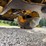 2003-komatsu-wa320-3mc-image-33