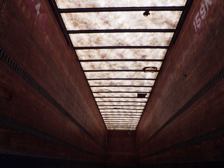 2004-great-dane-van-image-18