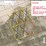 0.25-acre-vacant-lot-in-cochise-county-arizona-image-1