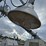 terex-al4-image-20
