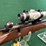 kimber-mdl.82-22-wmr-rifle-image-7