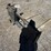 48”-skid-steer-pallet-forks-image-4