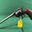 h&r-mdl.922-22cal-revolver-image-8