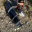#54-•-mini-skid-steer-auger-drive-&-bit-image-1