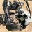 polaris-ranger-800-image-5