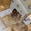 #1611-•-kooima-earlage-/-corn-head-adapter-for-self-propelled-forage-harvester-image-10