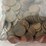#40133-•-(300)-wheat-pennies-image-5