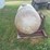 3-pt-water-tank-with-pump-and-honda-engine-to-put-out-grass-fires.-works-great-for-burning-ditches.-can-be-used-in-pickup-box.-image-6