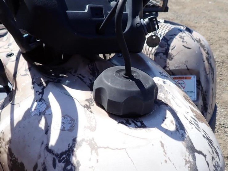 2010-honda-trx420fpm-image-8