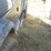 2000-jeep-wrangler-image-15