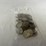 #40148-•-(50)-1970s-bicentennial-dollar-coins-image-12