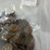 #40133-•-(300)-wheat-pennies-image-8