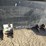 star-1430-reach-lift-trash-hopper-image-5