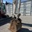 takeuchi-tb290-image-9