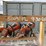 lot-of-18-stihl-ts700-chop-saws-image-7