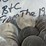 #40148-•-(50)-1970s-bicentennial-dollar-coins-image-8