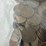 #40133-•-(300)-wheat-pennies-image-6