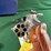 smith-&-wesson-mdl.629-1-44mag-revolver-image-15