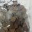 #40133-•-(300)-wheat-pennies-image-9
