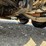 2009-tse-dpt70h-underground-puller-tensioner-image-11