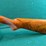 remington-wingmaster-mdl.870-20ga-shotgun-image-14