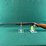 remington-mdl.24-22lr-smokeless-rifle-image-10