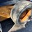 case-420-image-18