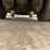 2010-international-transtar-8600-image-24