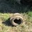 takeuchi-tl26-2-image-6