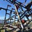 35'-flex-coil-chisel-plow,-floating-hitch,-very-good-harrows-image-8