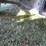 2017-ford-f150-image-9