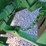2019-john-deere-956-image-27