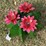 #171-•-metal-art---small-cactus-w/pink-flowers-image-2
