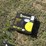 56290-yellow-jacket-40-image-1