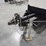 2019-multiquip-dca25ssiu4f-image-14