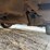 2015-ford-fusion-titanium-4dr-sedan---188,983-miles-image-23