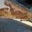 2003-ford-f550-image-118