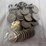 #40135-•-(50)-1970s-dollar-coins-image-3