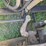 1996-peterbilt-377-image-21