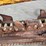 2018-vermeer-rtx450-image-23